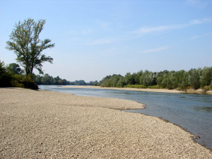 Drava kod Drnja